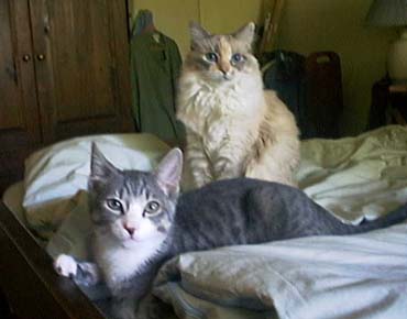 Cloud and young holy terror