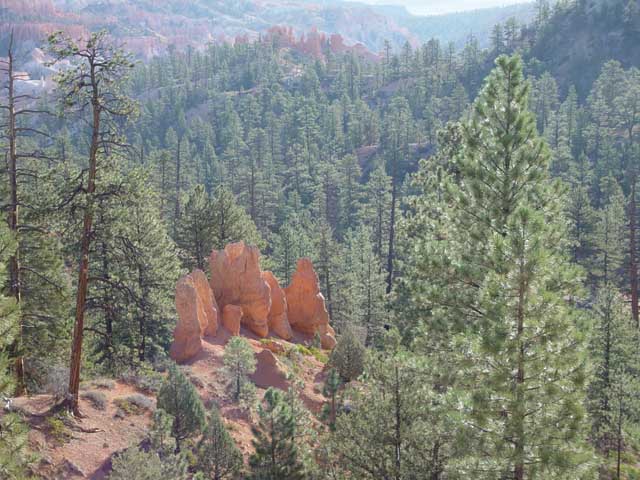 Rim trail