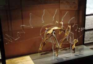 stegosaur