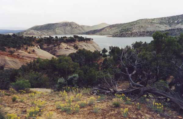 Final approach to trackway