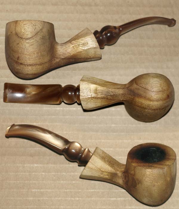 Pawlonia by Tim Fuller