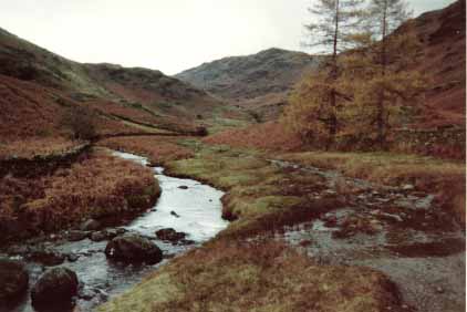 Lowlands