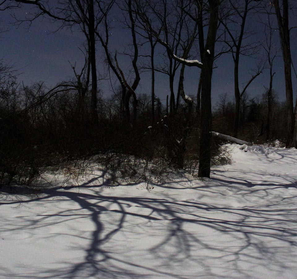 Moonshadows