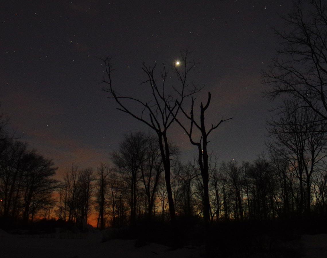 Venus, Mars, trees