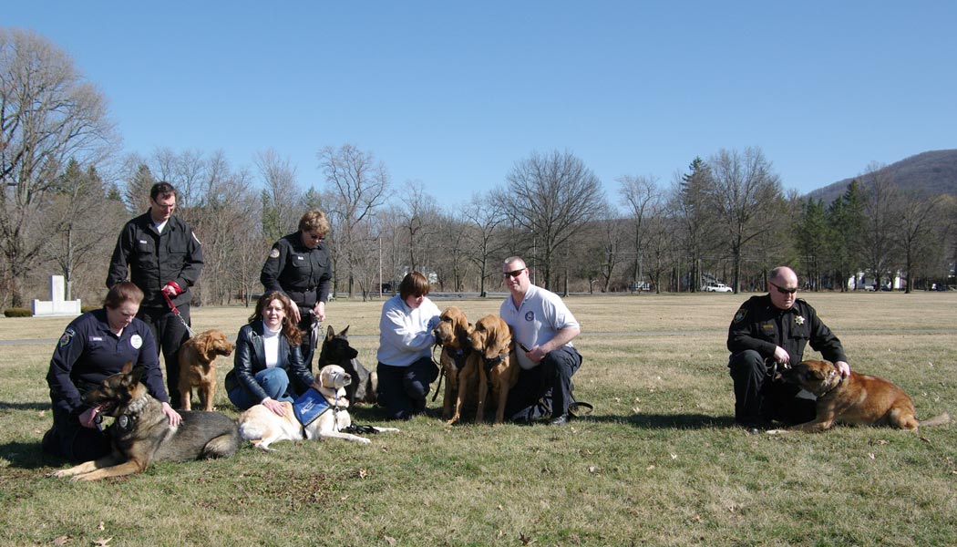 Handlers and their dogs