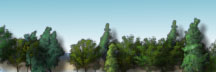 Small landscape