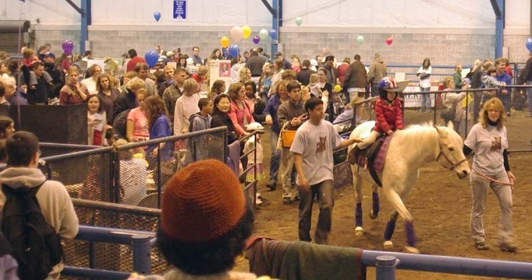 Lion Country Pony Club line