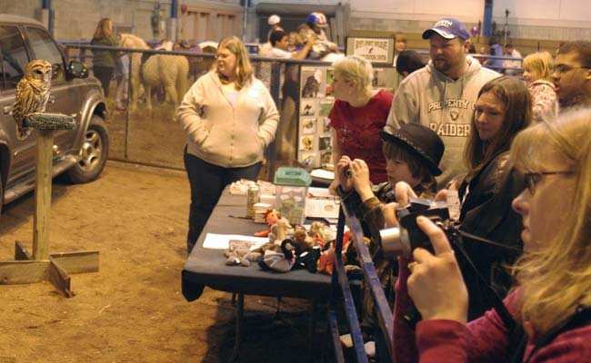 Skye's Spirit exhibit and barred owl